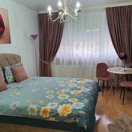 Chic Apartment- Place To Remember 加拉茨 外观 照片